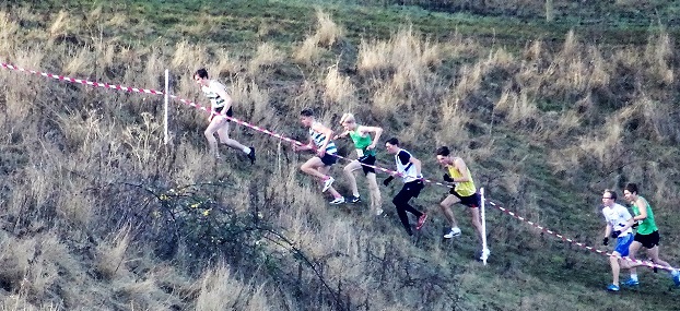 Essex 2016 CC uphill