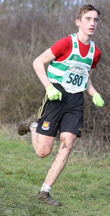 Jimmy Geller Horsenden mini