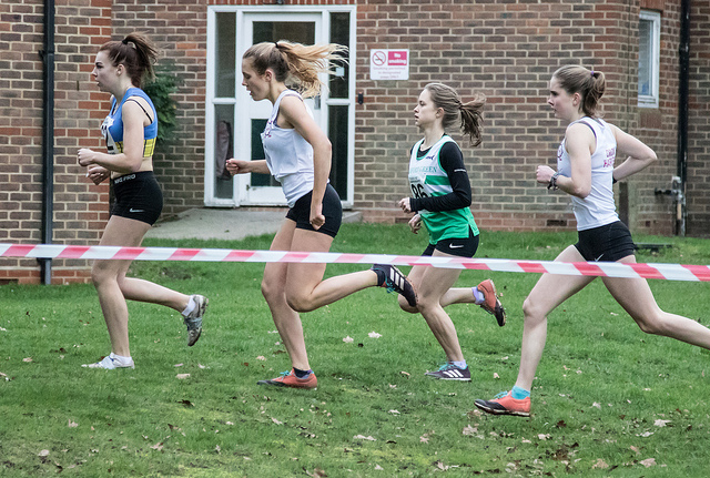 Wren-McLean-Essex-CC-2019